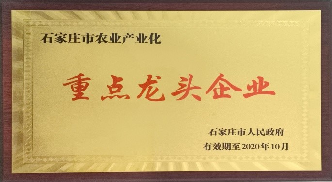 石家莊市農(nóng)業(yè)產(chǎn)業(yè)化重點龍頭